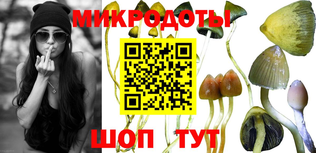 Псилоцибиновые грибы прущие грибы  Вход с VPN  Россия 