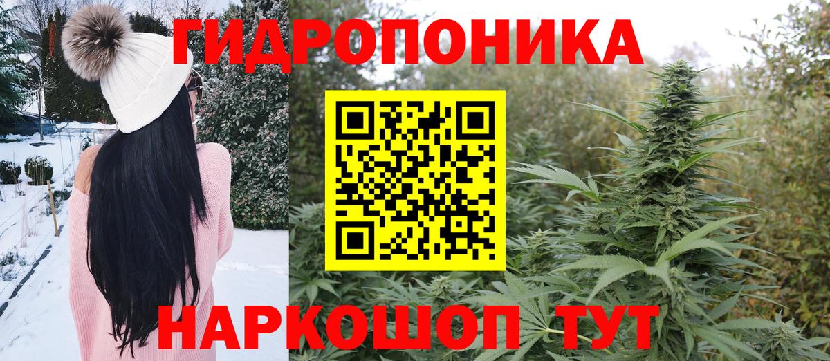 Конопля конопля  Вход с VPN  Россия  Канабис MAZAR 